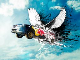 Flickr Photo Download: Red Bull 2010