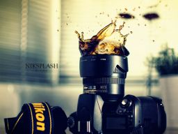 Flickr Photo Download: Niksplash