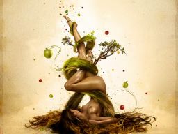 Attentions on the Behance Network