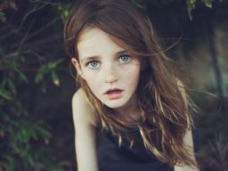 http://media.cmcdn.net/6648936/640x426.jpeg