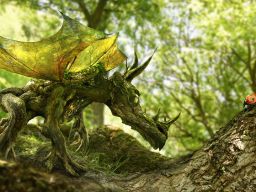 The Wood Dragon & The Ladybird