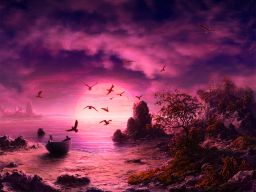 gulls by ~VityaR83 on deviantART