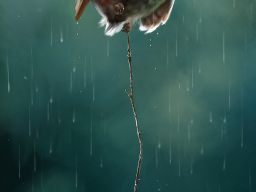 Illustration by Therese Larsson