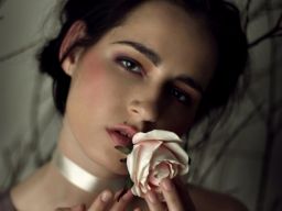 http://fc05.deviantart.net/fs71/f/2010/036/d/7/Rose_garden2_by_NadyaBird.jpg