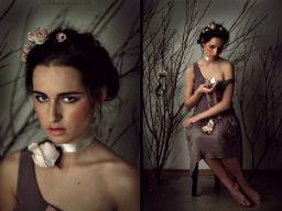 http://fc02.deviantart.net/fs70/i/2010/049/8/4/Rose_garden5_by_NadyaBird.jpg