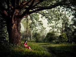 Photograph Dreams vol.1 by Alex Gorshkov on 500px