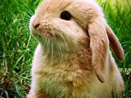 Tumblr_ky8tt6ipvv1qa9z1bo1_400_large