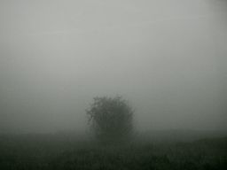 VK | Photos
