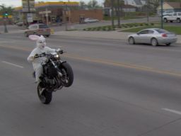 The Ultimate Squid Pic Thread (no 56k)**NWS** - Page 4 : Honda CBR 600RR Sportbike Forum : 600RR.Net