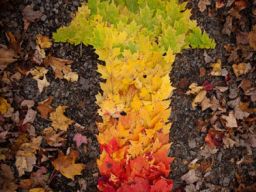Autumn Upvote! on imgfave