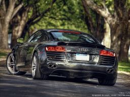 http://notbland.com/images/audi/tree_tunnel_2.jpg