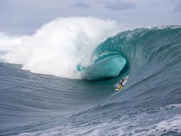 tahitifpomper3561.jpg (1100×733)