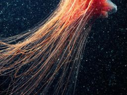 24.jpg (900×1271)